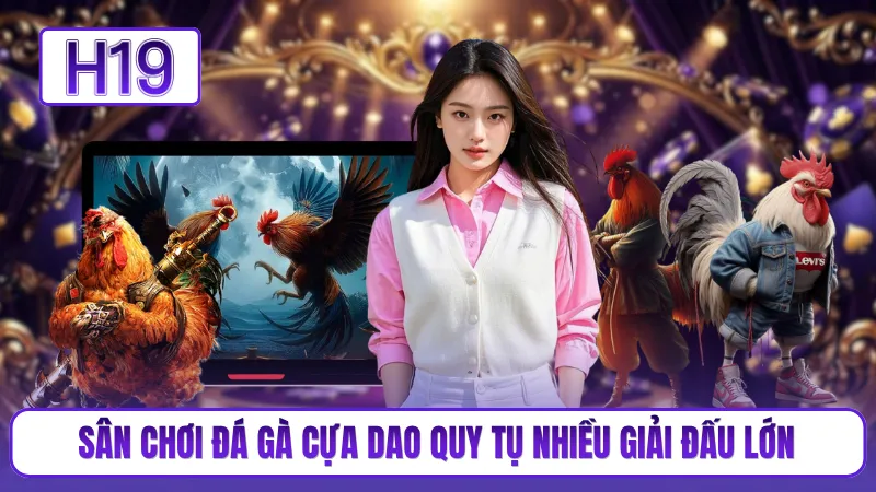 Sân chơi đá gà cựa dao quy tụ nhiều giải đấu lớn