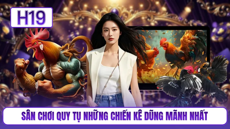 Sân chơi quy tụ những chiến kê dũng mãnh nhất